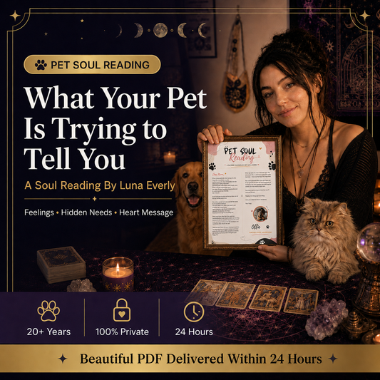 Pet Soul Reading – A Living Connection With Your Pet's Heart