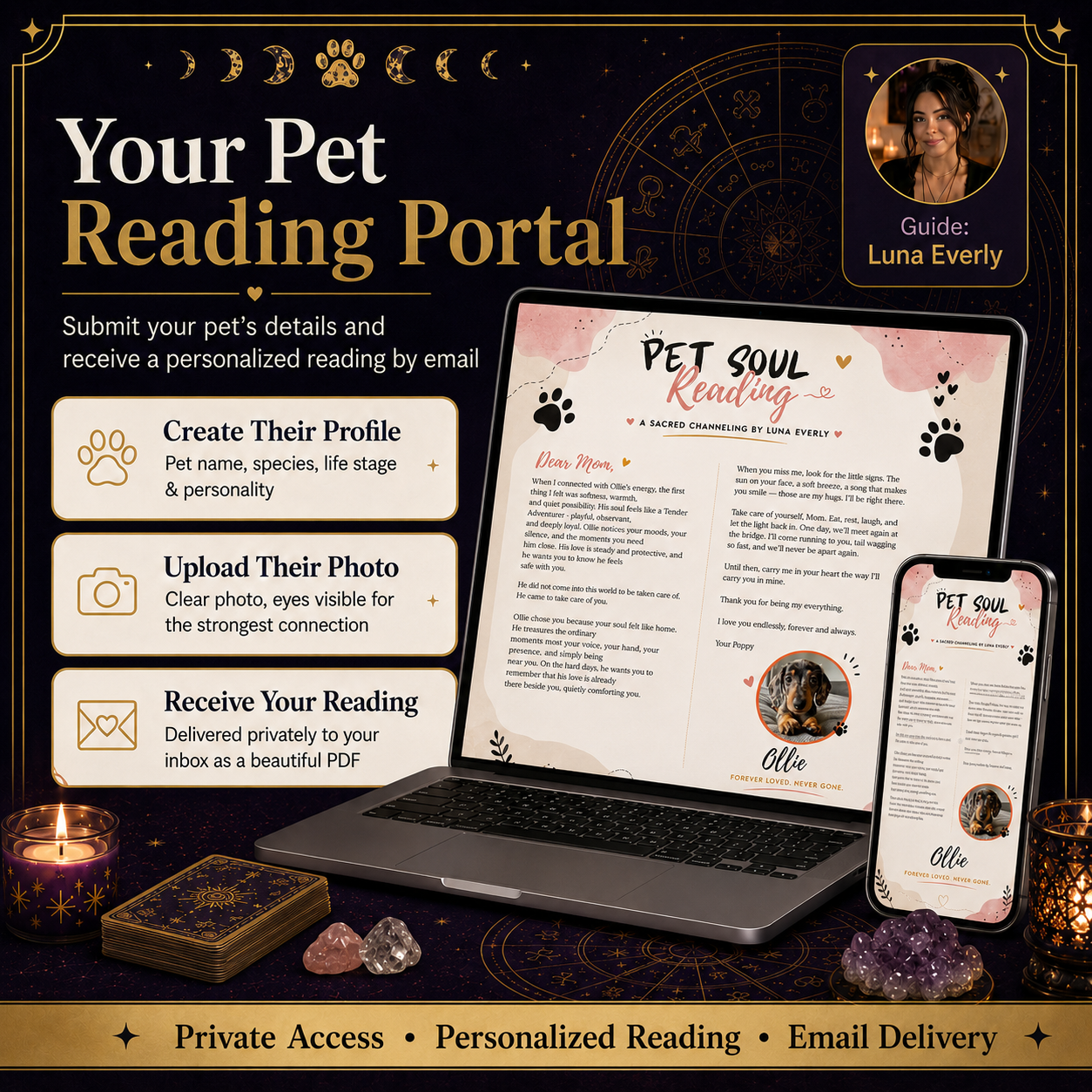 Pet Soul Reading – A Living Connection With Your Pet's Heart